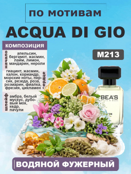 beas213-100-2